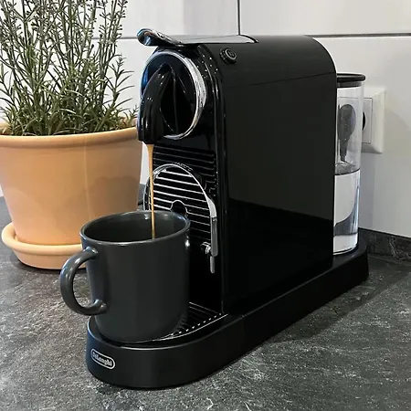 Appartement Modernes Mit Leseecke Gernsbach