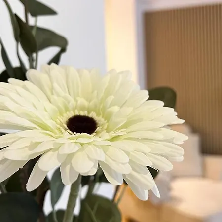 Modernes Mit Leseecke Gernsbach