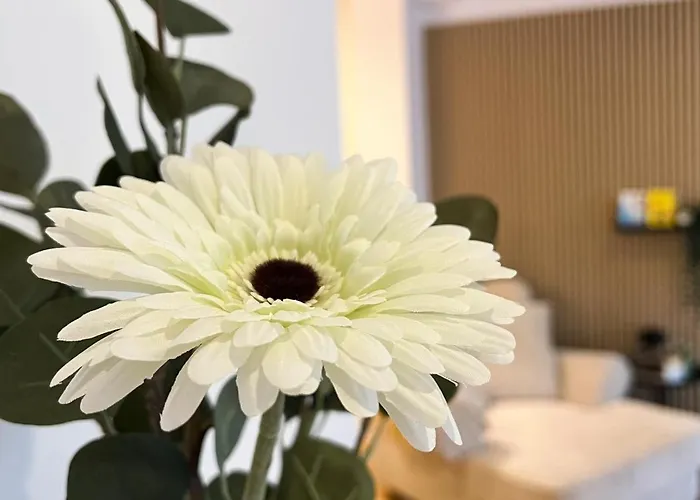 Modernes Mit Leseecke Gernsbach